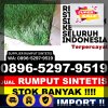 Pusat Rumput Sintetis Kabupaten Lombok Tengah.jpg