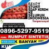 Supplier Rumput Plastik Sukasada.jpg