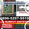 Jual Rumput Imitasi Cijeungjing.jpg