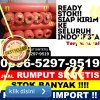 Supplier Rumput Plastik Sumber.jpg