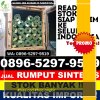 Distributor Rumput Sintetis Cikalong Wetan.jpg