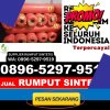 Supplier Rumput Plastik Sungai Bungkal.jpg