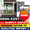 Jual Rumput Imitasi Cisolok.jpg