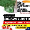 Penjual Rumput Sintetis Kabupaten Aceh Selatan.jpg