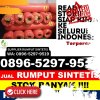 Supplier Rumput Plastik Tabir Timur.jpg