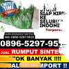 Penjual Rumput Sintetis Kabupaten Bintan.jpg