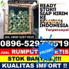 Jual Rumput Plastik Ampek Angkek.jpg