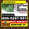 Toko Rumput Plastik Kabupaten Serang.jpg