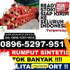 Toko Rumput Imitasi Playen.jpg