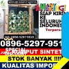 Jual Rumput Imitasi Delang.jpg