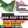 Penjual Rumput Sintetis Kabupaten Halmahera Utara.jpg