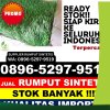 Distributor Rumput Sintetis Demak.jpg