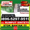 Penjual Rumput Sintetis Kabupaten Kota Baru.jpg