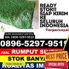 Distributor Rumput Sintetis Doro.jpg