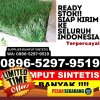 Jual Rumput Imitasi Embaloh Hulu.jpg