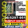 Supplier Rumput Palsu Cibiuk.jpg