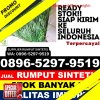 Toko Rumput Plastik Kaliwiro.jpg