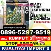 Supplier Rumput Palsu Cikajang.jpg