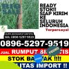 Pusat Rumput Sintetis Kemangkon.jpg