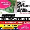 Penjual Rumput Sintetis Kabupaten Tanggamus.jpg