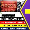 Supplier Rumput Plastik Tersono.jpg