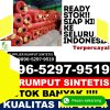 Toko Rumput Imitasi Regol.jpg