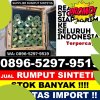 Supplier Rumput Palsu Cipanas.jpg