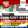 Toko Rumput Plastik Kasiruta Barat.jpg