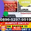 Supplier Rumput Plastik Tiris.jpg