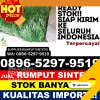 Toko Rumput Plastik Kebomas.jpg