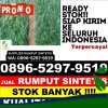 Pusat Rumput Sintetis Kopang.jpg