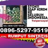 Supplier Rumput Palsu Danau Panggang.jpg