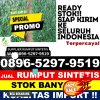 Toko Rumput Plastik Kemlagi.jpg