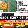 Toko Rumput Plastik Kertapati.jpg