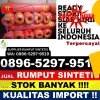 Supplier Rumput Plastik Walenrang.jpg