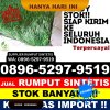 Supplier Rumput Palsu Enam Lingkung.jpg