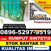 Penjual Rumput Sintetis Kasemen.jpg