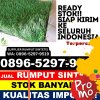 Penjual Rumput Sintetis Kebayakan.jpg