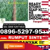 Toko Rumput Plastik Kota Payakumbuh.jpg