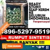 Supplier Rumput Sintetis Adimulyo.jpg