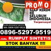 Supplier Rumput Palsu Gumay Ulu.jpg