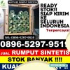 Supplier Rumput Sintetis Alas.jpg