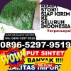 Supplier Rumput Palsu Hiliduho.jpg