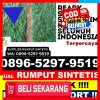 Penjual Rumput Sintetis Kisam Tinggi.jpg