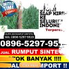 Pusat Rumput Sintetis Loa Janan.jpg