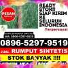 Penjual Rumput Sintetis Kota Bahagia.jpg