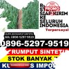 Pusat Rumput Sintetis Lubuk Basung.jpg