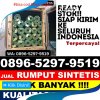 Supplier Rumput Sintetis Balikpapan Kota.jpg