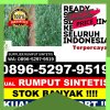 Penjual Rumput Sintetis Kota Jakarta Timur.jpg