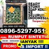 Supplier Rumput Sintetis Bandar Seikijang.jpg